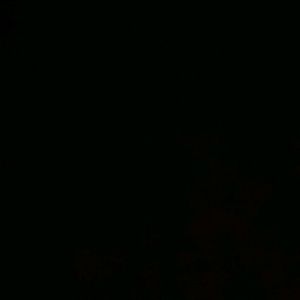 Meet your Posher, Leonardo